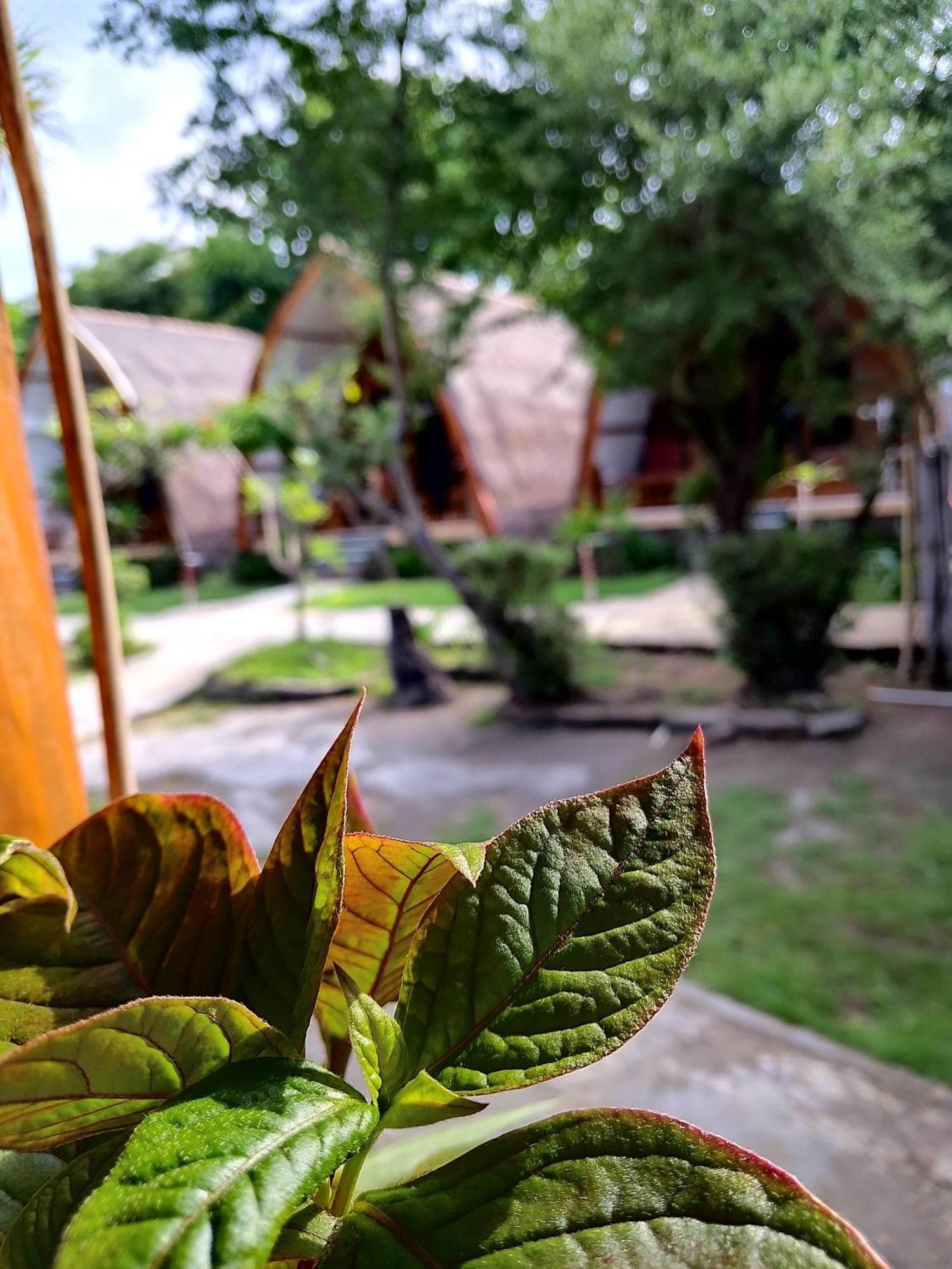 We'Be Cottages Gili Meno Extérieur photo